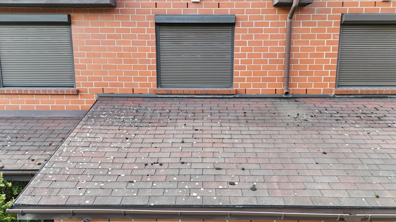 Which paint should I choose for asphalt shingles?